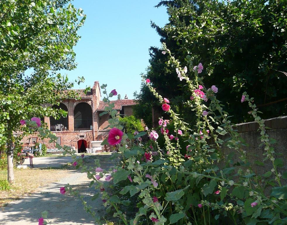 Agriturismo Olivazzi 쿼토르디오 외부 사진